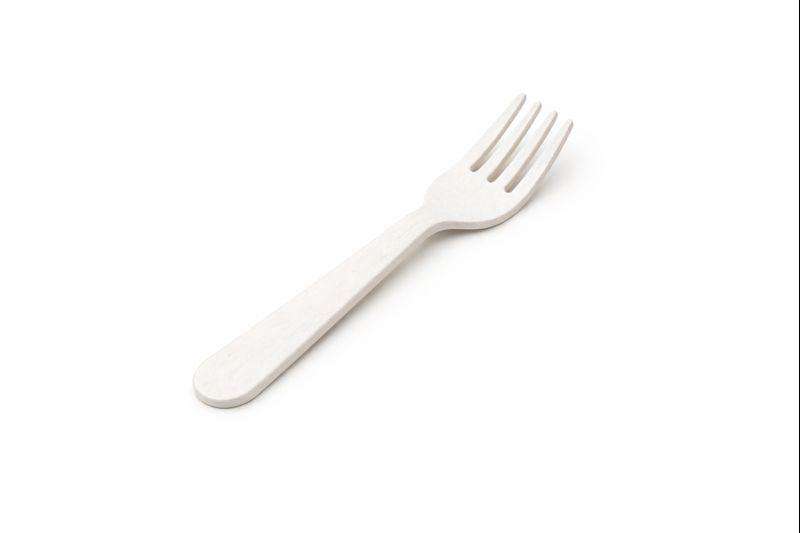 ChatGPT Image Jan 8, 2026 at 08_57_42 AM.png